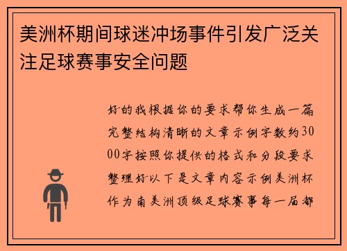 美洲杯期间球迷冲场事件引发广泛关注足球赛事安全问题 美洲杯期间球迷冲场事件引发广泛关注足球赛事安全问题